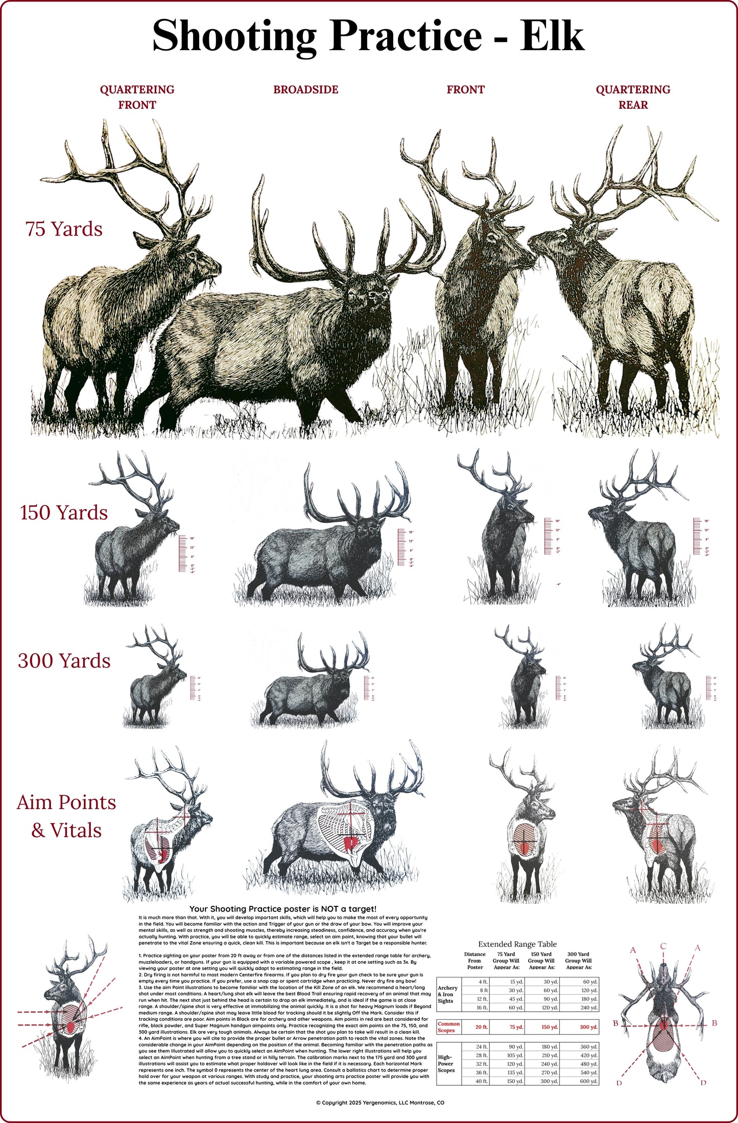 Elk Shooting Poster 24" X 36"